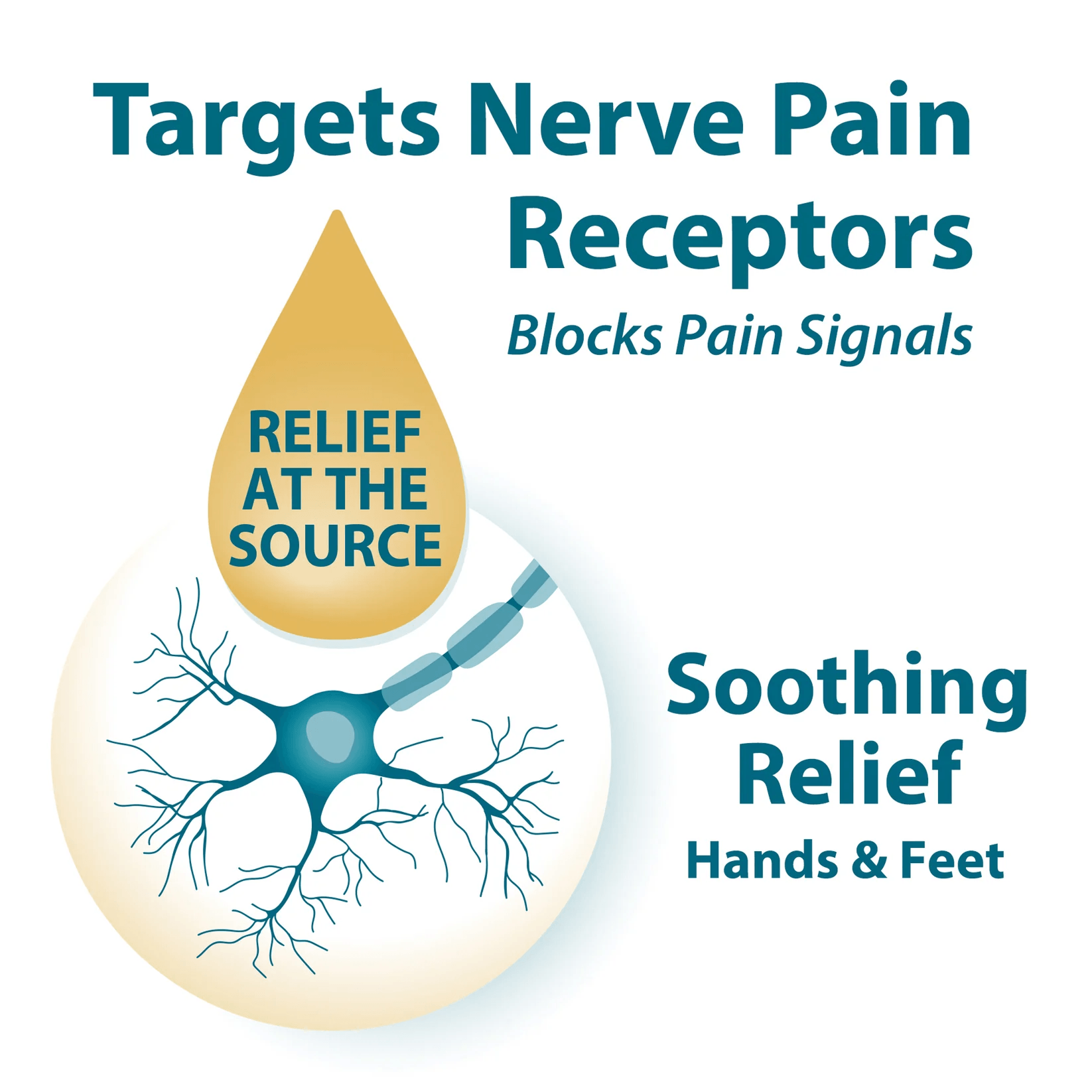 Nerve Pain Relief Combo Pack: Rubbing Oil + Lotion