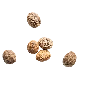 Nutmeg