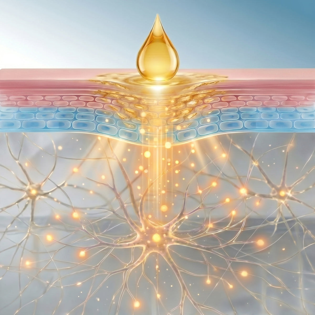 Cross-section illustration of a drop of oil passing through the skin down to the nerve endings below.