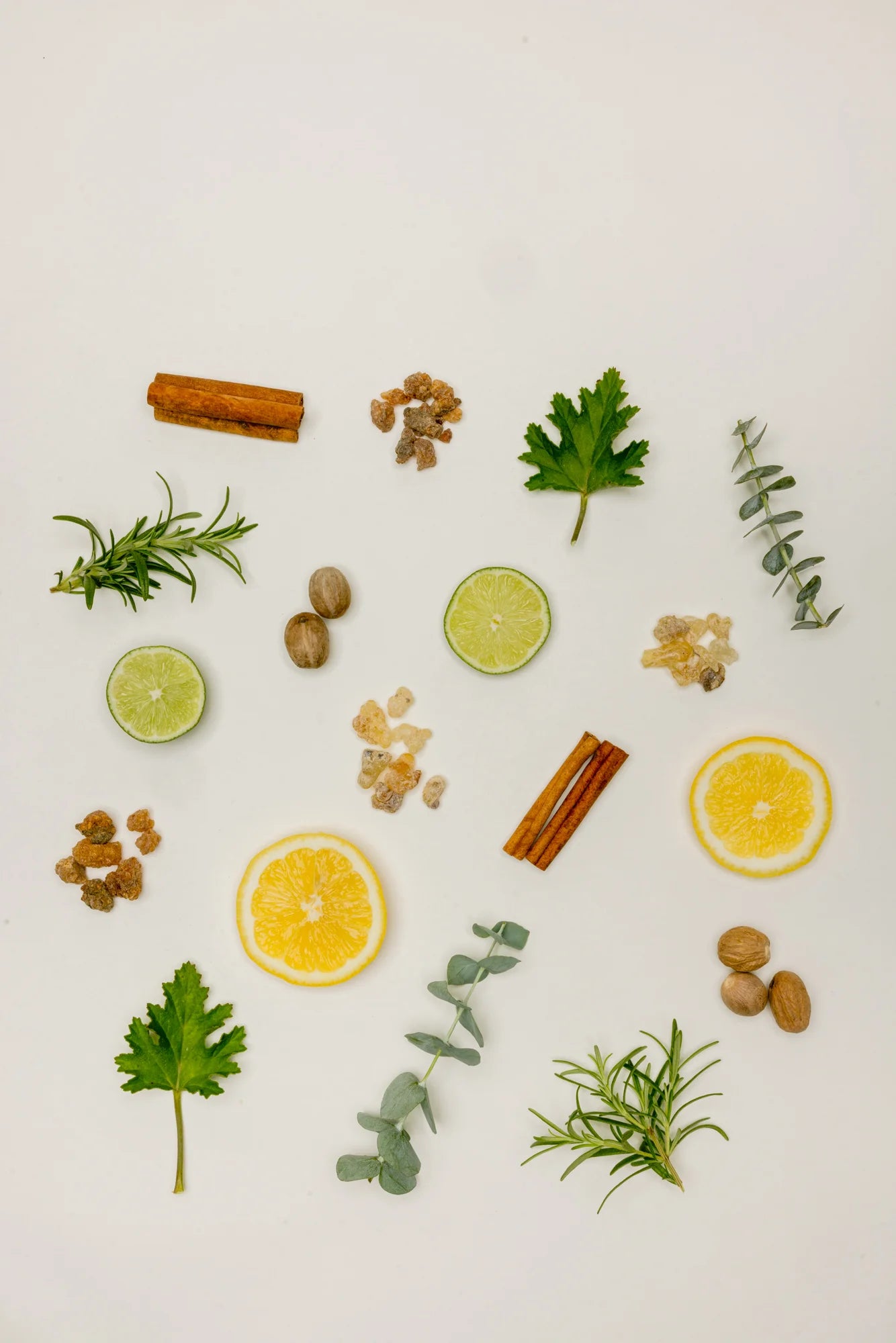 Flat lay of the nine essential oil ingredients: frankincense, myrrh, rosemary, eucalyptus, cinnamon, bergamot, geranium, nutmeg and lemon