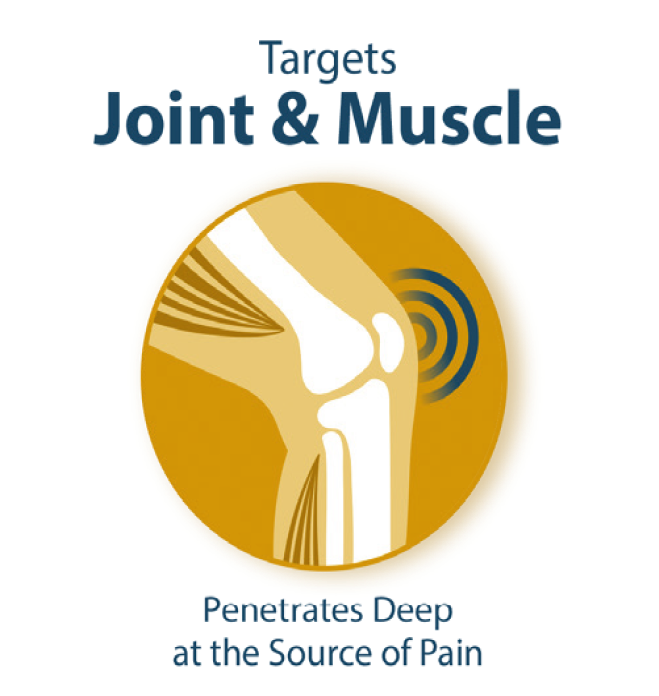 Joint & Muscle